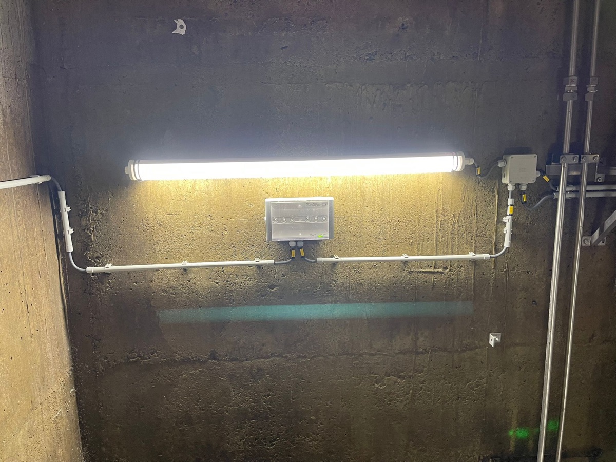 Éclairage de secours